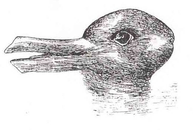 Is it rabbit or a duck?